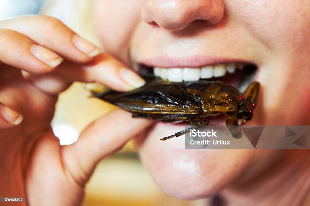 Trying some traditional Thai cuisine  Food Stock Photo