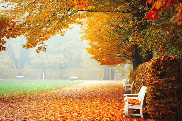 Image was taken in Royal Park in Warsaw (Poland)