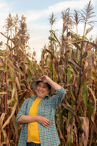mujer adulta levantando las manos hacia su sombrero lista para lanzarnos en frente a una plantación de maíz