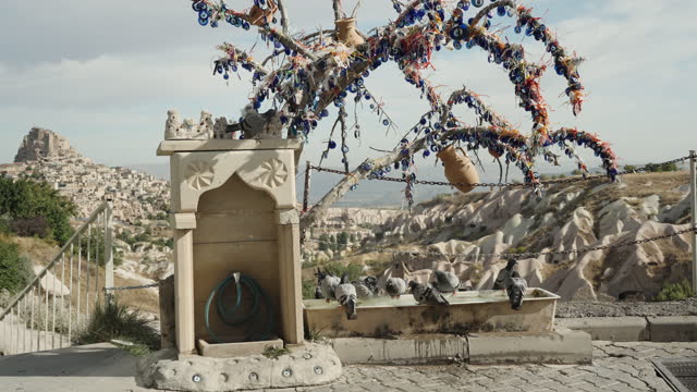 A pigeon feeder high in the mountains against the backdrop of an ancient city in the canyon. Pigeons gather under a tree adorned with Turkish amulets, Nazar medallions, to ward off the evil eye.