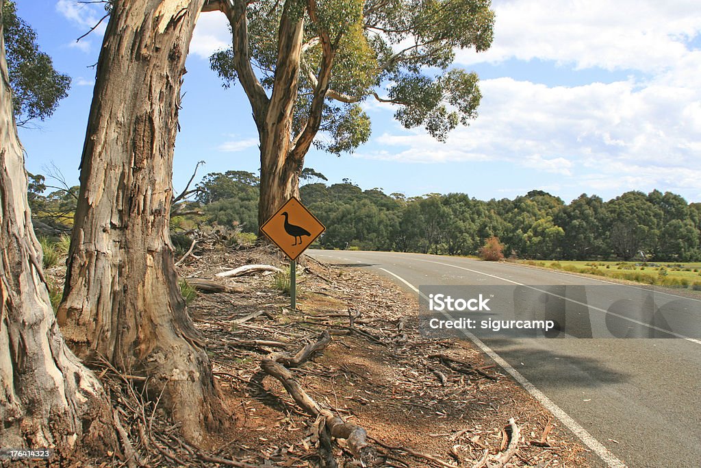 Australische road sign - Lizenzfrei Aufnahme von unten Stock-Foto