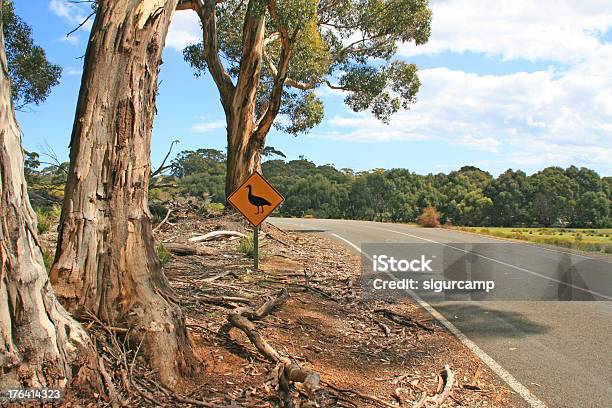 Australische Road Sign Stockfoto und mehr Bilder von Aufnahme von unten - Aufnahme von unten, Australien, Australisches Buschland