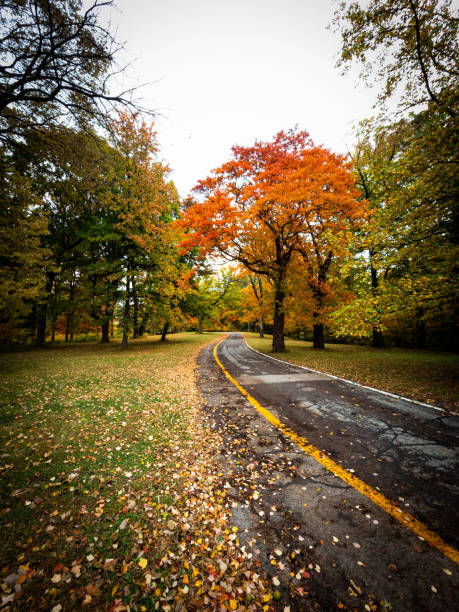 istock Autumn in the park 1764160932