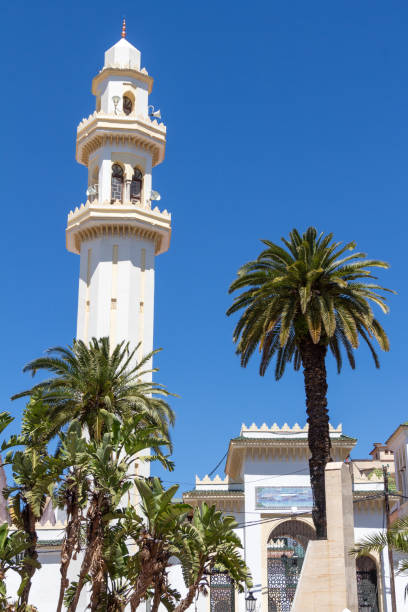 istock White mosque in the Kennedy Square, district called El Biar, Algiers, Alger, Algeria. Blue sky and palm trees. 1764163619