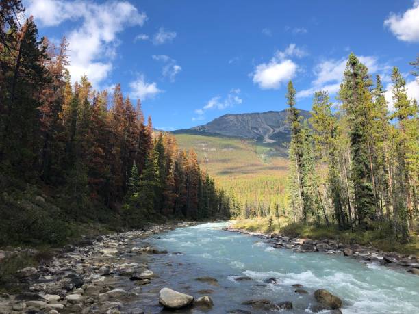 istock Stream in Banff National Park Canada 1764166794