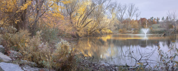 malden park - scena d'autunno - malden foto e immagini stock