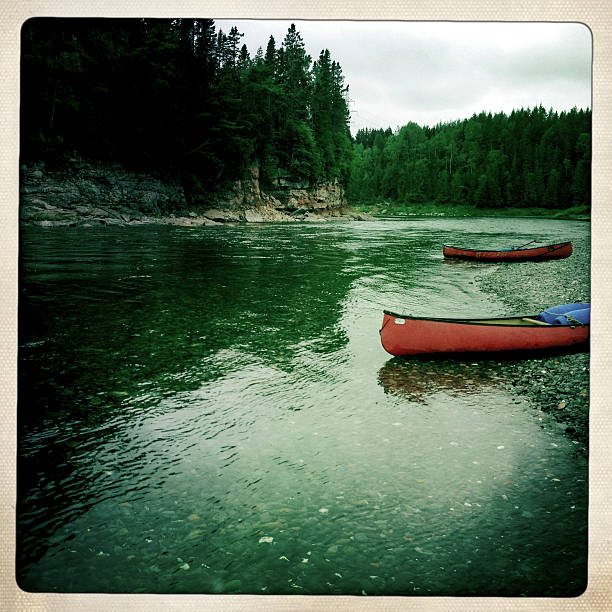 The bow of a canoe on a river with rapids, surrounded by forest and mountains in the background.
