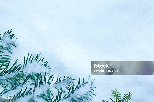 겨울맞이 프페임 0명에 대한 스톡 사진 및 기타 이미지 - 0명, 겨울, 나뭇가지