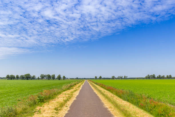 istock Straight road going through the flat landscape of Drenthe 1764181052
