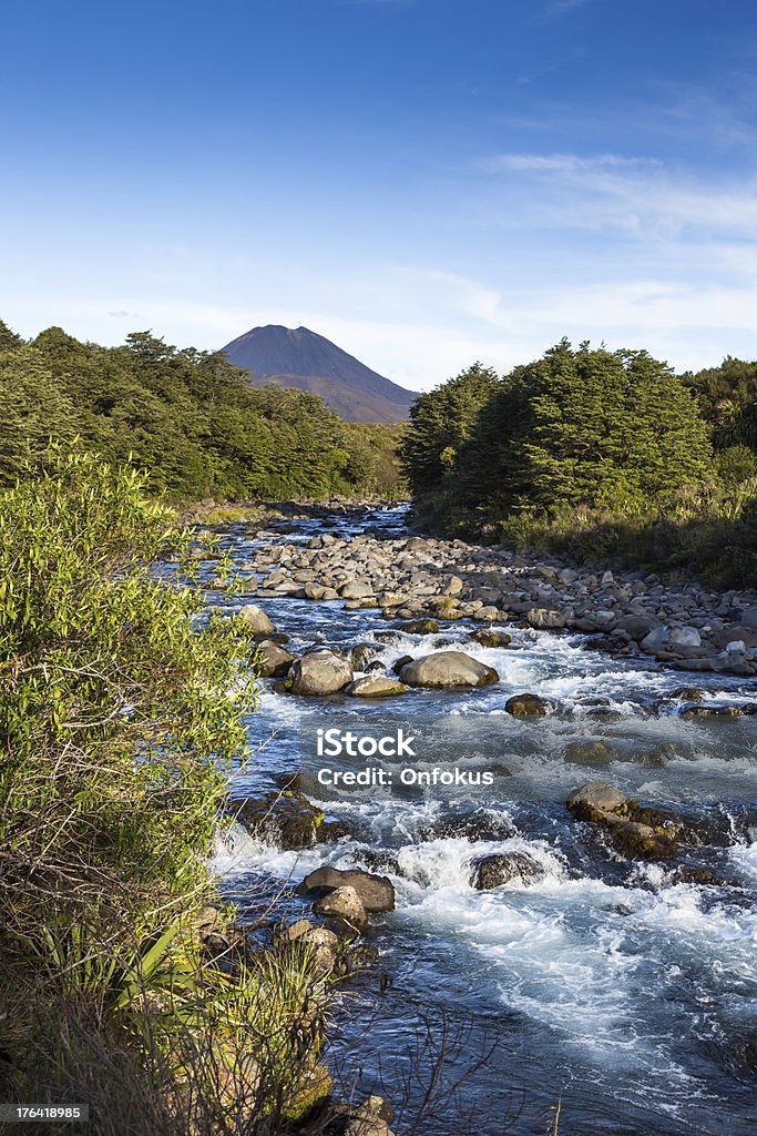 Tongariro River and Volcano, North Island, New Zealand Tongariro river, New Zealand Day Stock Photo