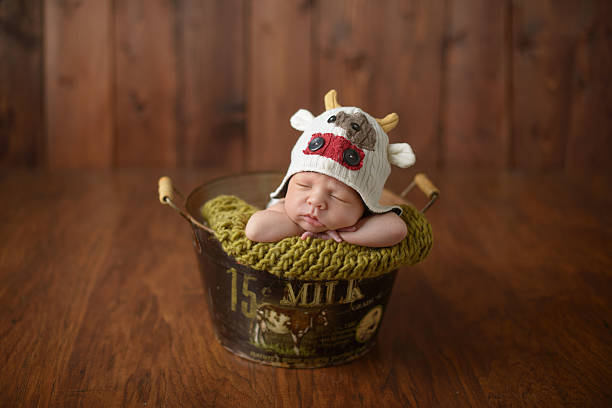 istock Newborn Sleeping in a Milk Bucket 176421843