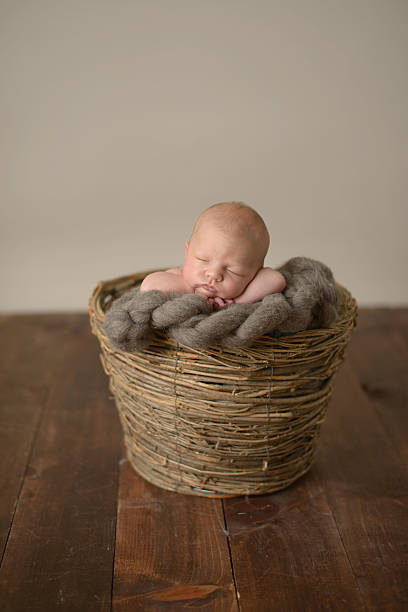 istock Newborn Girl Sleeping in a Basket 176422950