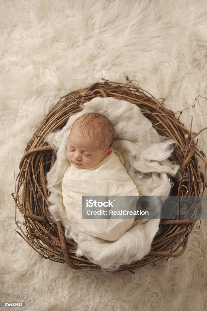Neonato Nel Nido - Fotografie stock e altre immagini di Ambientazione  tranquilla - Ambientazione tranquilla, Bambino appena nato, Bebé - iStock