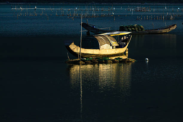 istock Boat on the pond 176424777