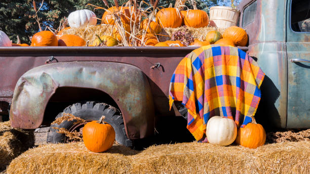 istock Pumpkin Patch Autumn Harvest Thanksgiving Display 1764260198