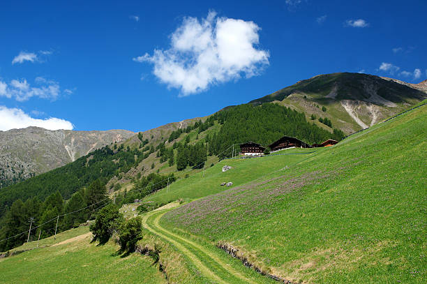 paesaggi di montagna - bergwiese foto e immagini stock