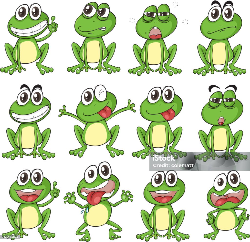 Different faces of a frog Different faces of a frog on a white background Amphibian stock vector