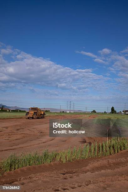 New Road Construction Stock Photo - Download Image Now - Backhoe, Construction Site, Power Line