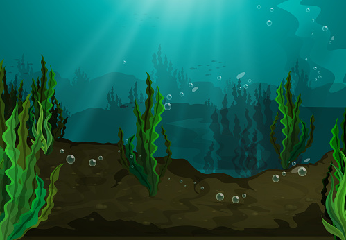 Underwater in freshwater habitat