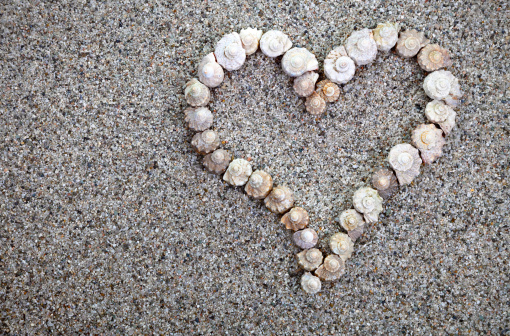 Shells heart on beach background. Summer composition with copy space. Top view
