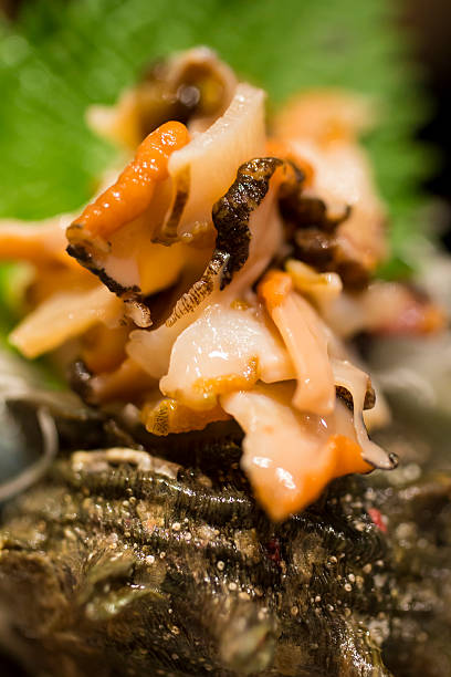 turbante indiano shell sashimi - escargot snail seafood freshness imagens e fotografias de stock