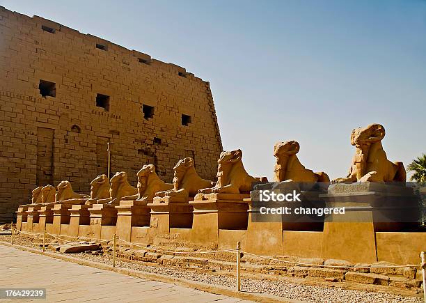 Photo libre de droit de Statues banque d'images et plus d'images libres de droit de Afrique - Afrique, Amon, Antique