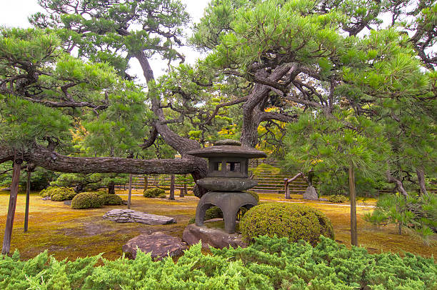 Stone lantern in Japanese garden