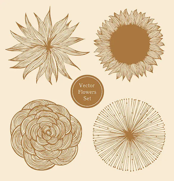 Vector illustration of Vintage vector flowers set. Linear floral elements