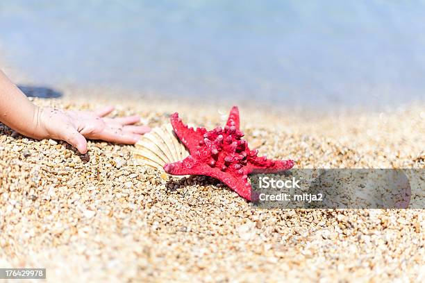 Plaing Con Estrella De Mar Foto de stock y más banco de imágenes de Agua - Agua, Alcanzar, Arena