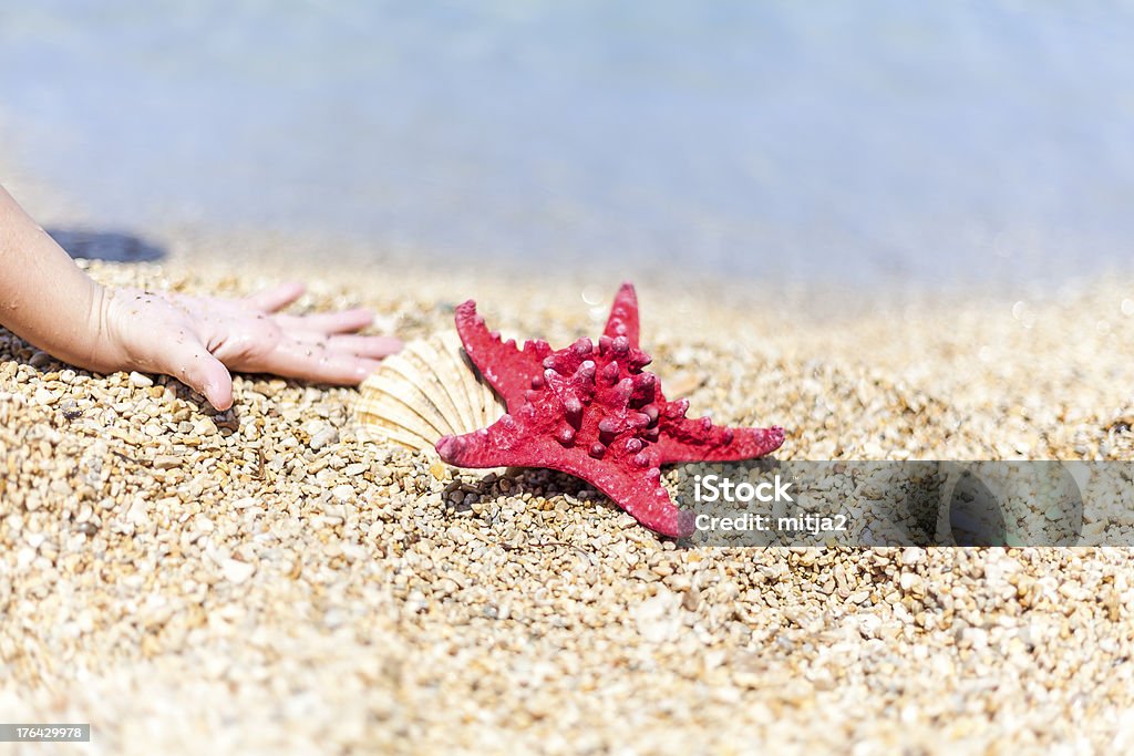 Plaing avec une étoile de mer - Photo de Atteindre libre de droits