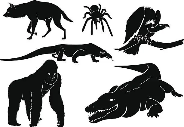 Vector illustration of Animal Predator Set