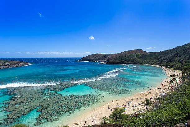 istock Hanauma bay, Snorkeling paradise in Hawaii 176430628