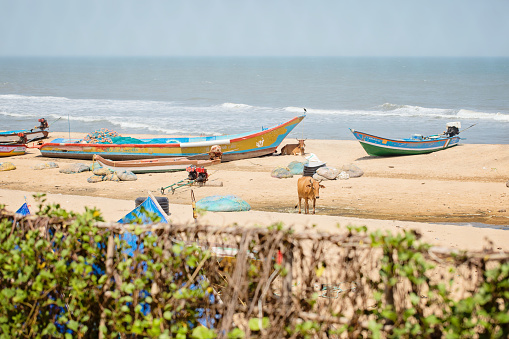 Boats along the shore at the beach in Mahabalipuram, Tamil Nadu, India.