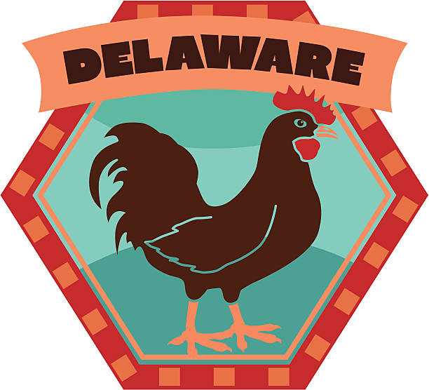 Delaware luggage label or travel sticker Vector Delaware luggage label or travel sticker. delaware rooster stock illustrations