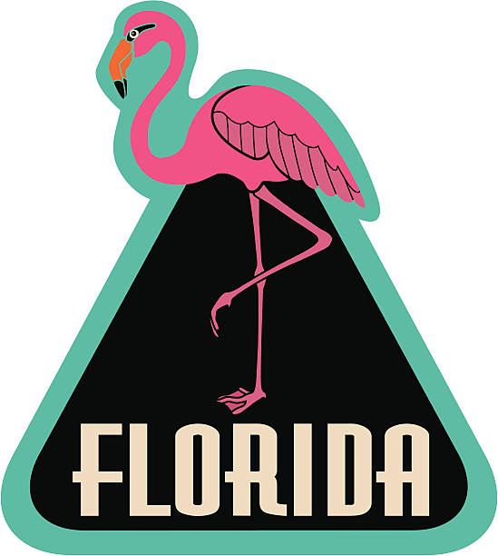 ilustraciones, imágenes clip art, dibujos animados e iconos de stock de etiqueta de equipaje o florida, pegatina de viaje - american flamingo