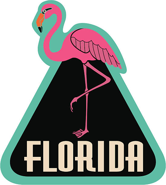 флорида багажный ярлык или наклейка на багаж - american flamingo stock illustrations