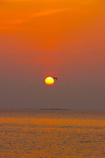Wild Beautiful beaches in Masirah Island in Sultanate of Oman