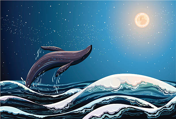 Whale jumping out of the waves Whale jumping out of the waves on a night starry sky background with full moon whale jumping stock illustrations