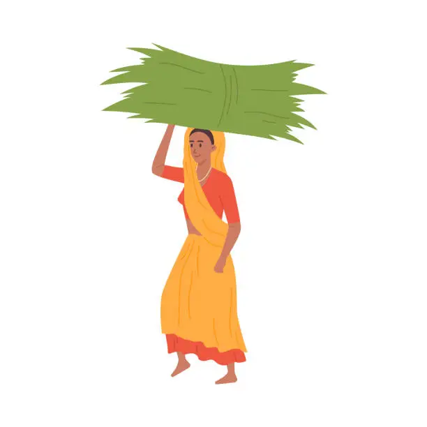 Vector illustration of Indian rural woman, farmer with a haystack on head, vector traditionally dressed Indian woman with wheat harvest