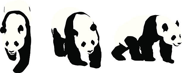 Panda Silhouettes vector art illustration