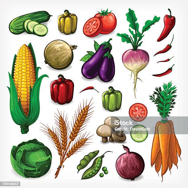 Vektorsetgemüse Runden Stock Vektor Art und mehr Bilder von Gemüse - Gemüse, Mais - Gemüse, Altertümlich