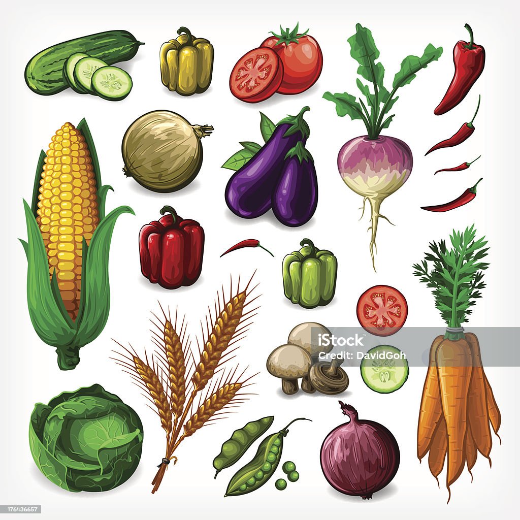Wektor zestaw warzyw-zakończone - Grafika wektorowa royalty-free (Jarzyna)