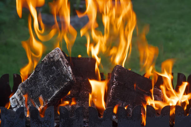 Burning firewood in the brazier close-up against the background of green grass.
