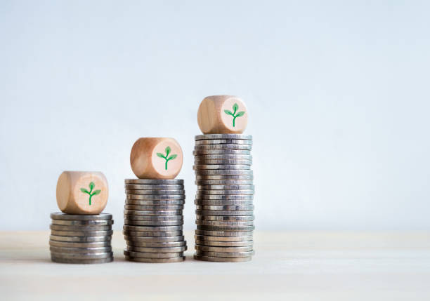 istock Green seedlings icons on wooden cube blocks on business coin stack growth graph steps on white background with copy space. Investment, save, income, sales profit, economic improvement concepts. 1764380866