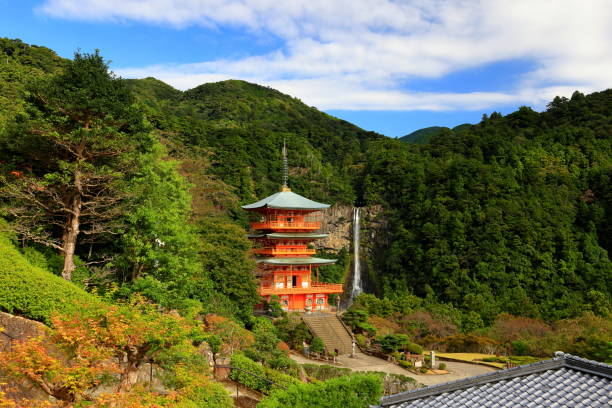 나치산(nachisan)의 나치 폭포(nachi falls)를 배경으로 한 세이안토지(seianto-ji temple) 탑, 나치카쓰우라(nachikatsuura), - higashimuro 뉴스 사진 이미지