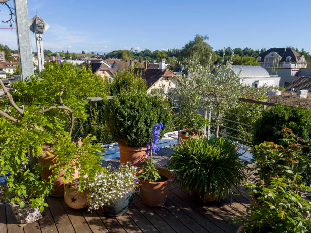 The beautiful flowers on the balcony.