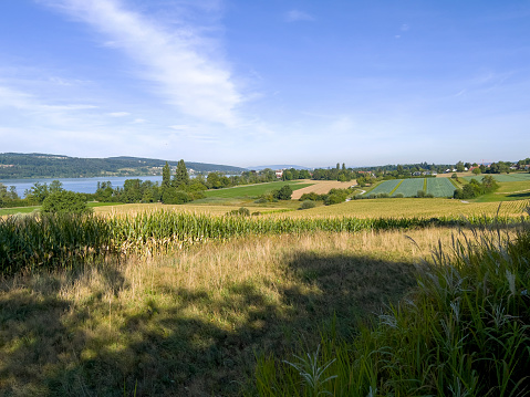 The green fields at GrÃ¤fensee in Switzerland.