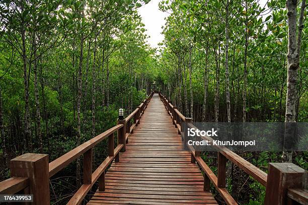 Puente De Madera En El Bosque De Manglar Foto de stock y más banco de imágenes de Madera - Material - Madera - Material, Puente - Estructura creada por humanos, Boscaje