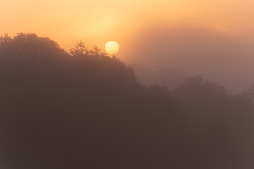 Atmospheric landscape with sun at sunrise, fog glows orange, can be used as natural background.