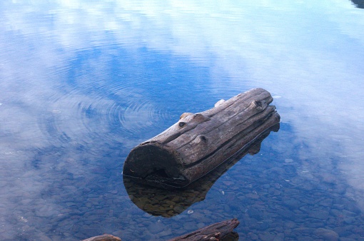 Single log of driftwood floating in lake, when the surface of the lake is so smooth it almost looks like the log is floating among the clouds in the sky. Taken at Lake Crescent, a quiet lake in Olympic National Park and to the east of Port Angeles, Washington, USA.